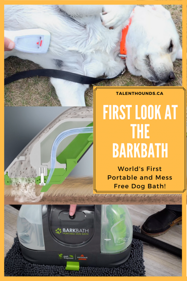 How to make your dog's bath time better? Check out the new BISSELL BarkBath dog bathing product