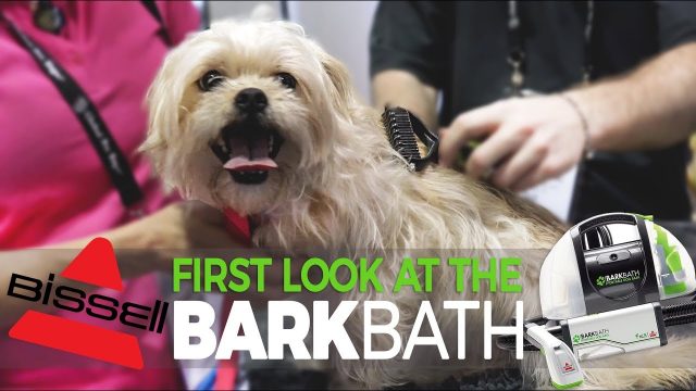 How to make your dog’s bath time better with the new BISSELL BarkBath.