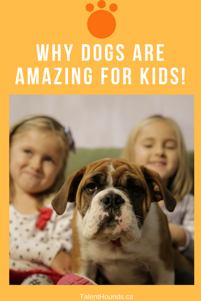why dogs are amazing for kids dogs are good for kids why dogs are great for kids