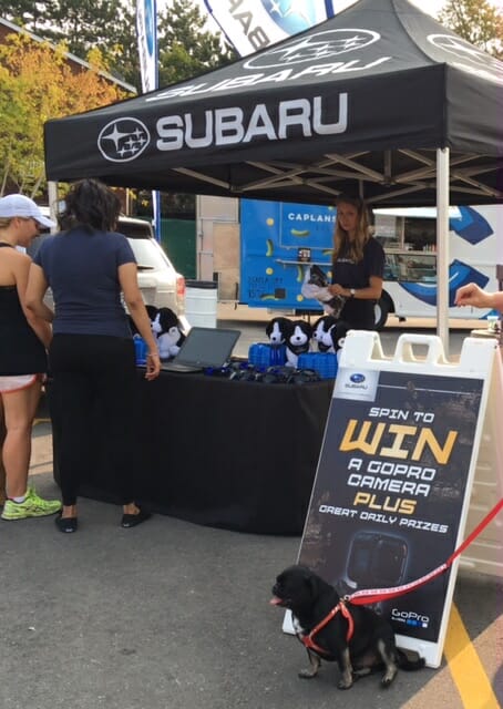 Subaru at Park and Bark 2