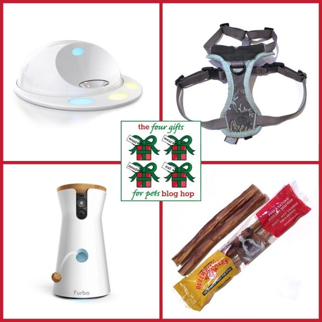 Check out my four fabulous gift choices for Kilo the Pug this Christmas