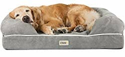 large dog bed on Amazon