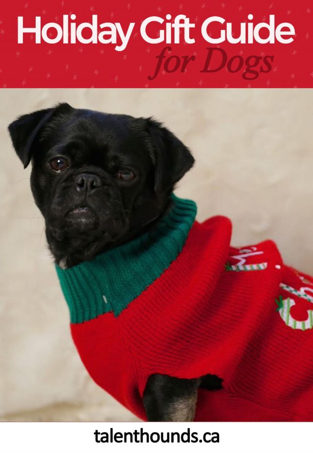 Kilo the Pug's Holiday Gift Guide for Dogs 2017