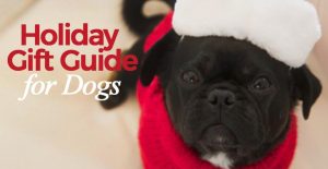 Kilo the Pug's Holiday Gift Guide for Dogs 2017 feature