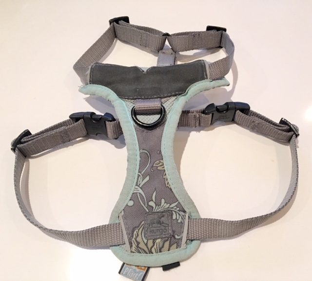 Kilo the Pug's new Kurgo Harness