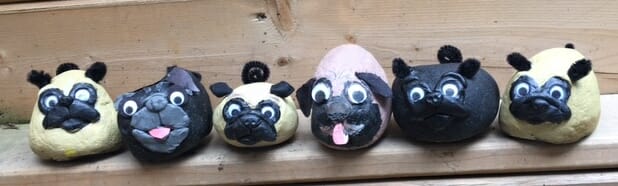 Pug Rescue Rocks from Talent Hounds and Kids Pet Club featuring Kilo and Fishstick