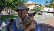 Valentine's Dog Contest woman in sun hat with a chihuahua