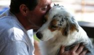 Valentines Contest Photo man kissing collie