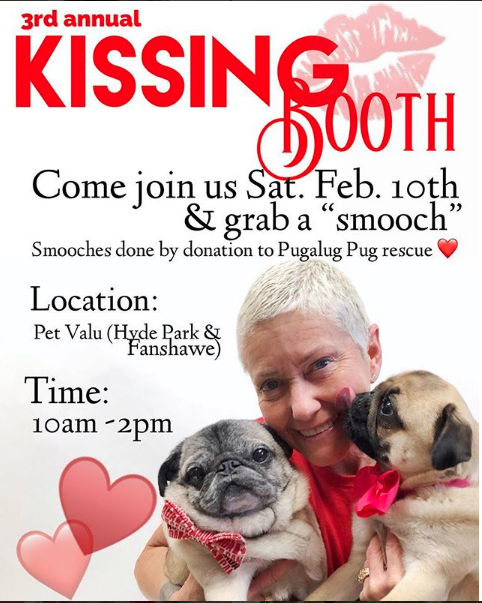 Igor Pug Kissing Booth