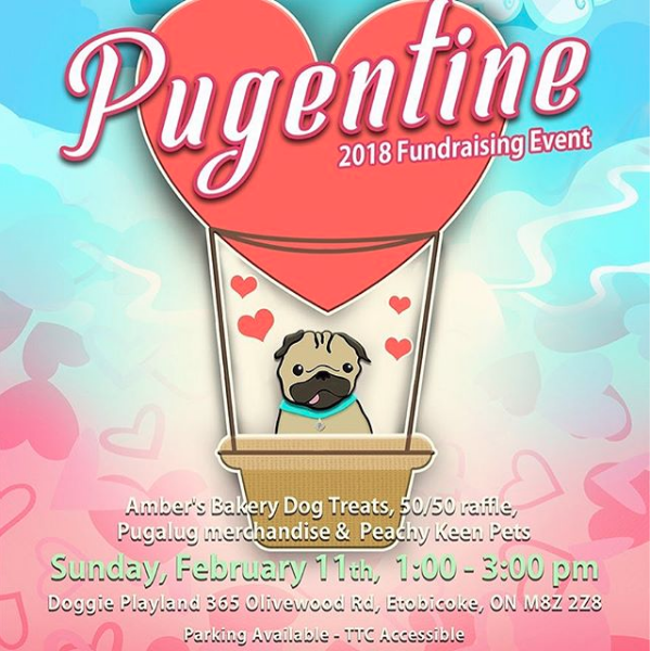 Pugentine event for PugALug Pug Rescue