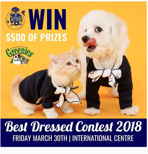 Best dressed Contest 2018 at Canadian Pet Expo