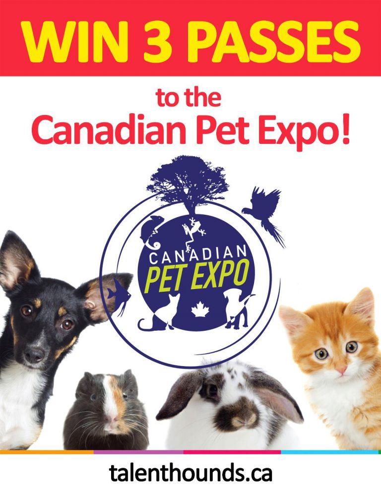 Win 3 Awesome Passes to Spring Canadian Pet Expo! Talent Hounds