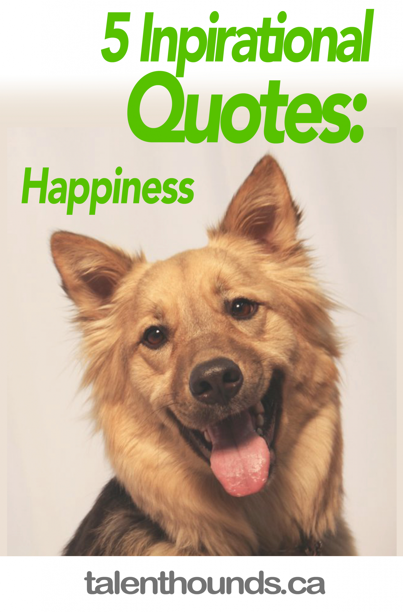 Enjoy These Five Inspirational Happiness Quotes and Beautiful Images of Dogs To Make You smile