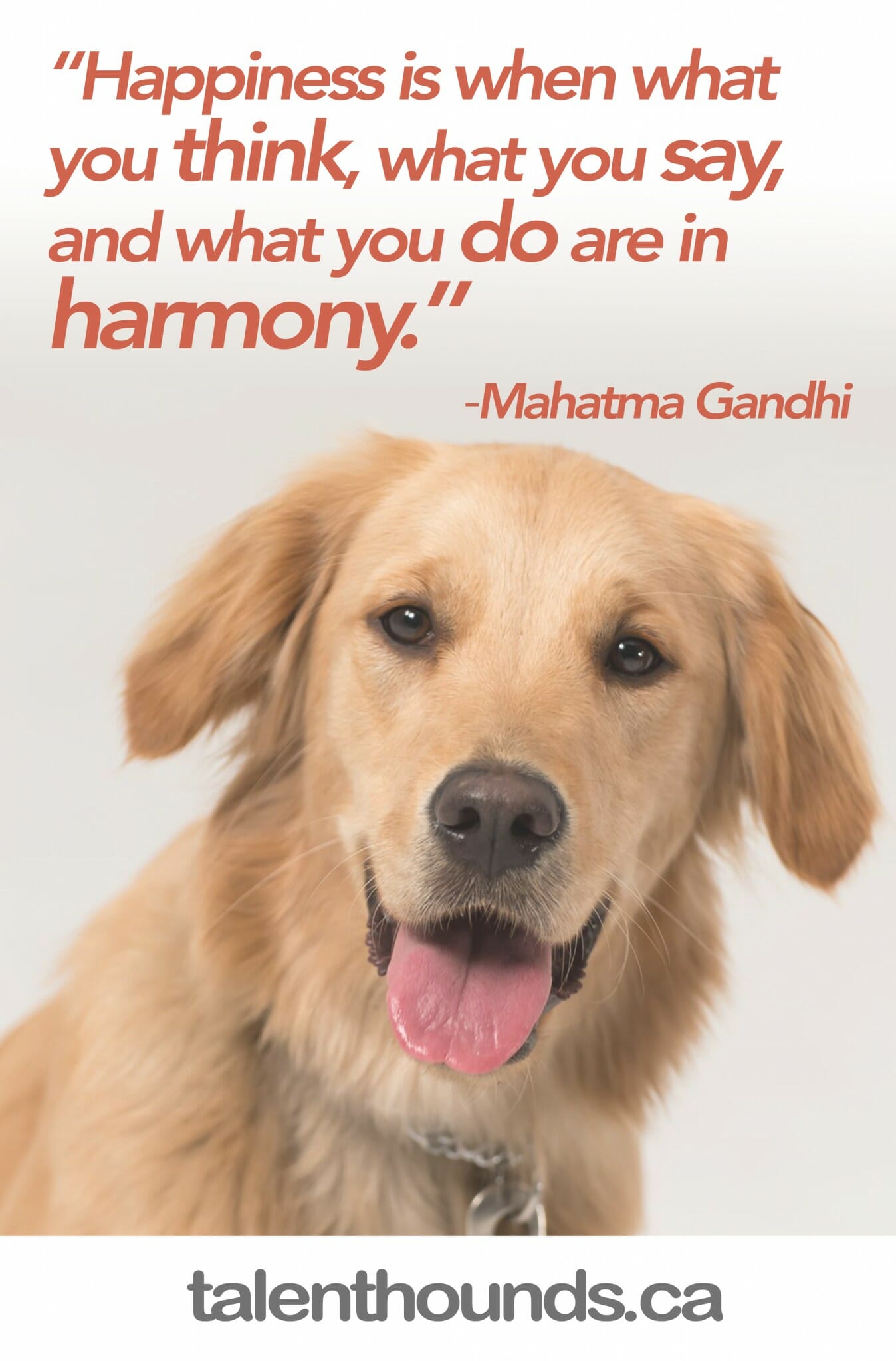 Enjoy this inspirational Happiness Quote by Mahatma Gandhi "Happiness is when what you think, what you say and what you do are in harmony"