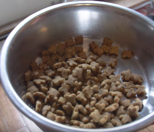 Close up of the Petcurean NOW Fresh kibble for small adult dogs in Kilo's bowl