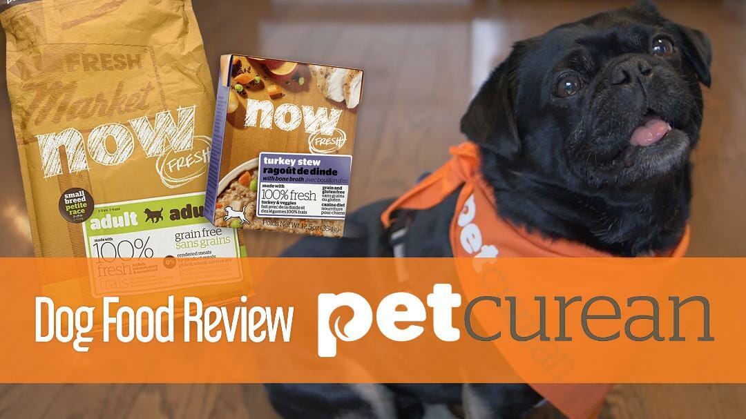 petcurean review