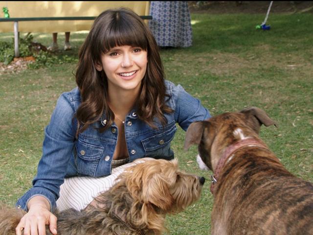 Nina Dobrev and dogs starring in Dog Days Film.