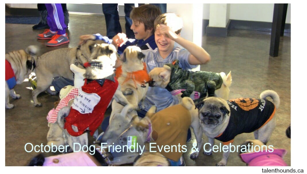 2018 Dog-Friendly October Events and Celebrations - Talent Hounds