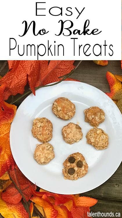 Easy limited ingredient Recipe for yummy healthy homemade no bake Pumpkin Dog Treats