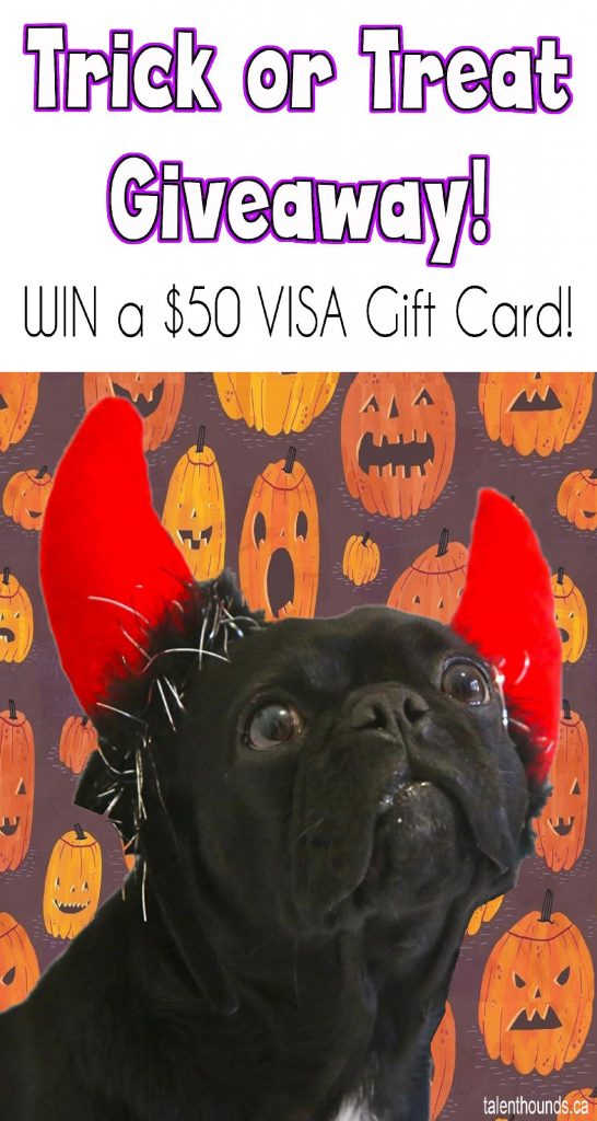 Enter our Trick or Treat Giveaway for a chance to win a $50 VISA Gift Card plus get inspired by our Pet Halloween Costume Ideas and Tricks
