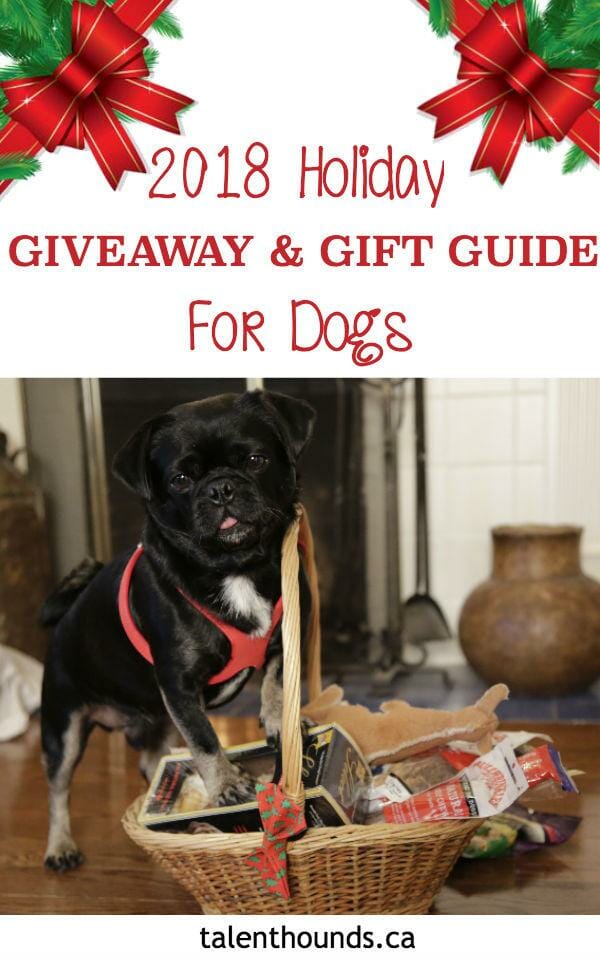 Check out our fabulous 2018 Holiday Giveaway and Gift Guide for Dogs if you want to spoil your best friend.