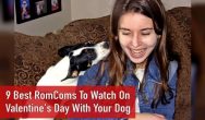 9 Best RomComs To Watch On Valentine's Day With Your Dog