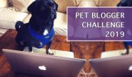 Pet Blogger Challenge 2019