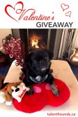 Don't miss a chance to win a $50 VISA Gift Card in our 2019 Valentine's Giveaway 