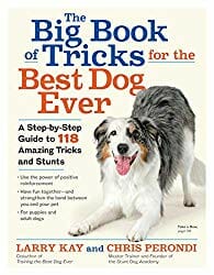 The Big Book of Tricks by Larry Kay and Chris Perondi