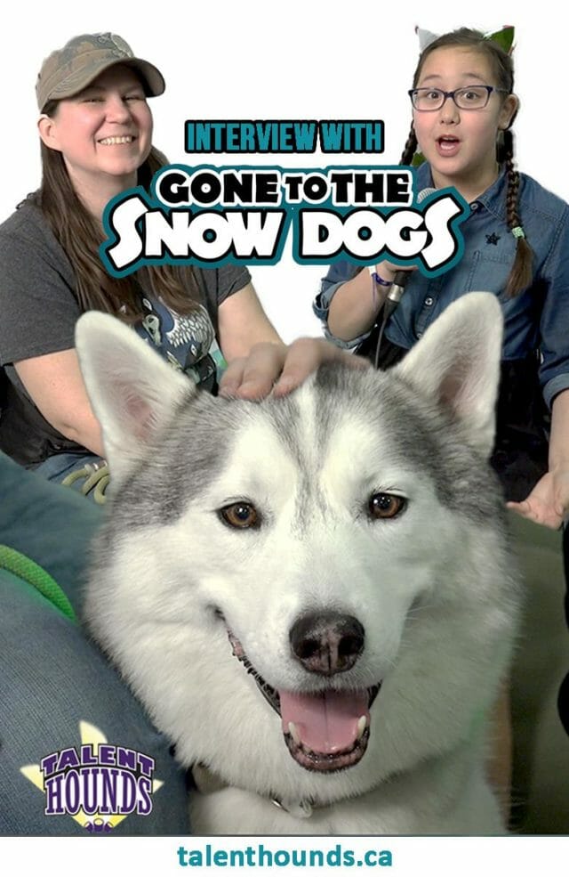 Find out if siberian huskies make good pets plus other cool behind the scenes facts in our interview with Jess from the gorgeous celebrities Gone to the Snow Dogs.