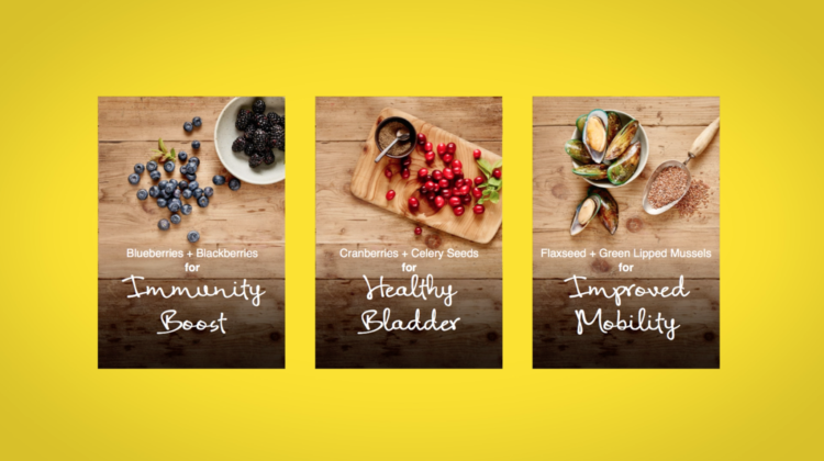 Is Nutram Dog Food Right for You and Your Dog? - Talent Hounds