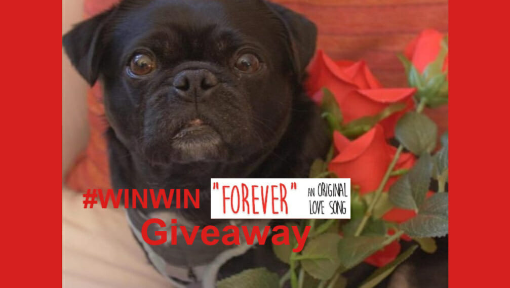 Forever Dog Song Lyrics And Giveaway Talent Hounds