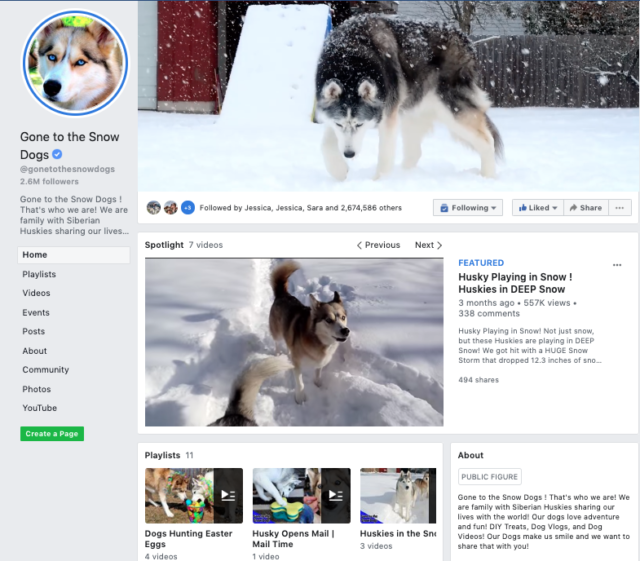 Gone to the Snow Dogs Siberian Huskies Facebook Page screen shot