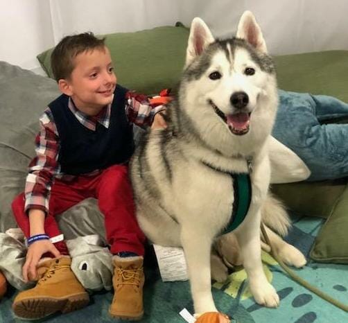 Liam from Kids' Pet Club cuddling with Memphis from Gone to the Snow Dogs at Canadian Pet Expo
