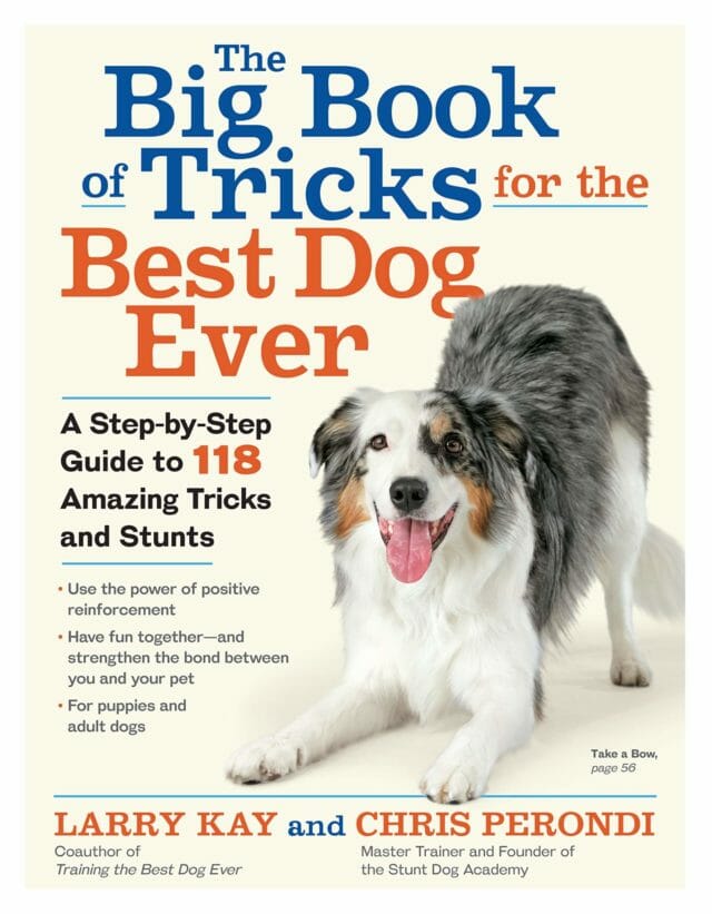The Big Book of Tricks for the Best Dog Ever front cover