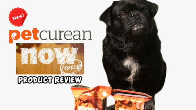 petcurean review