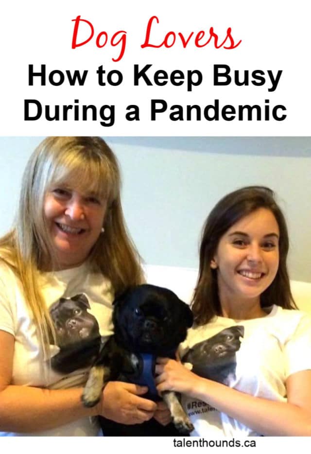 Hey Dog Lovers- check out all these great ideas on how to keep busy during a pandemic #stayhome #staysafe