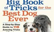 Enter to Win a Copy in our Give Away of The Big Book of Tricks for the Best Dog Ever by Larry Kay and Chris Perondi
