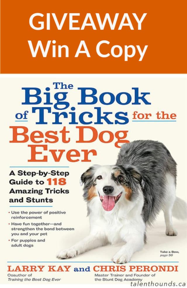 Enter to Win a Copy in our Giveaway of The Big Book of Tricks for the Best Dog Ever by Larry Kay and Chris Perondi