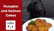 Easy-Salmon-and-Pumpkin-Cakes-Recipe-feature-image