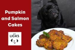 Easy-Salmon-and-Pumpkin-Cakes-Recipe-feature-image