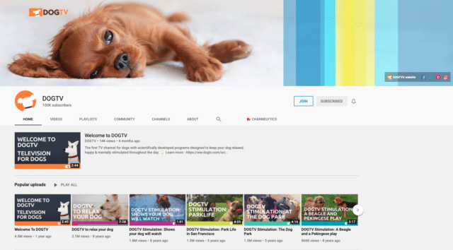 DOGTV YouTube Channel screen shot