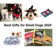 Best Gifts for Small Dogs 2020 feature image
