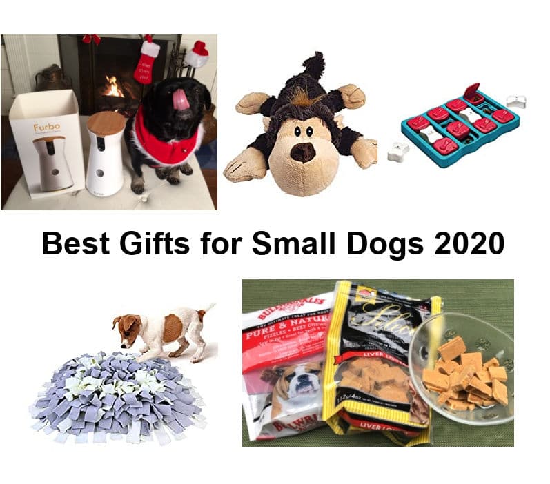 Gifts for shop small dogs