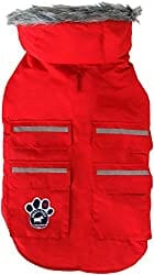 Canada Pooch red winter jacket Kilo got as a gift