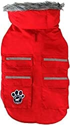 Canada Pooch red winter jacket Kilo got as a gift
