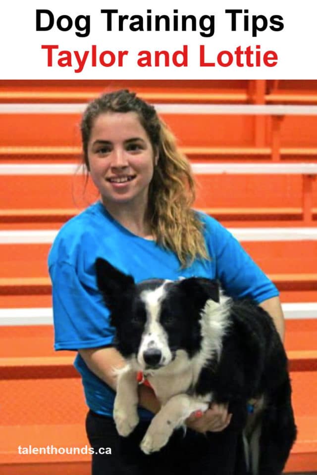 Taylor and Lottie the Border Collie
