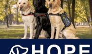 Photo of COPE service dogs plus Hope Unleashed logo
